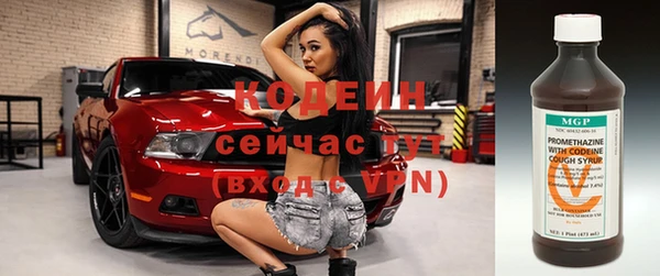 шишки Володарск