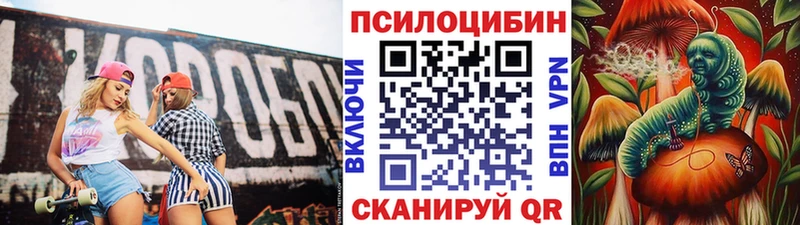 где можно купить наркотик  Знаменск  Галлюциногенные грибы GOLDEN TEACHER 